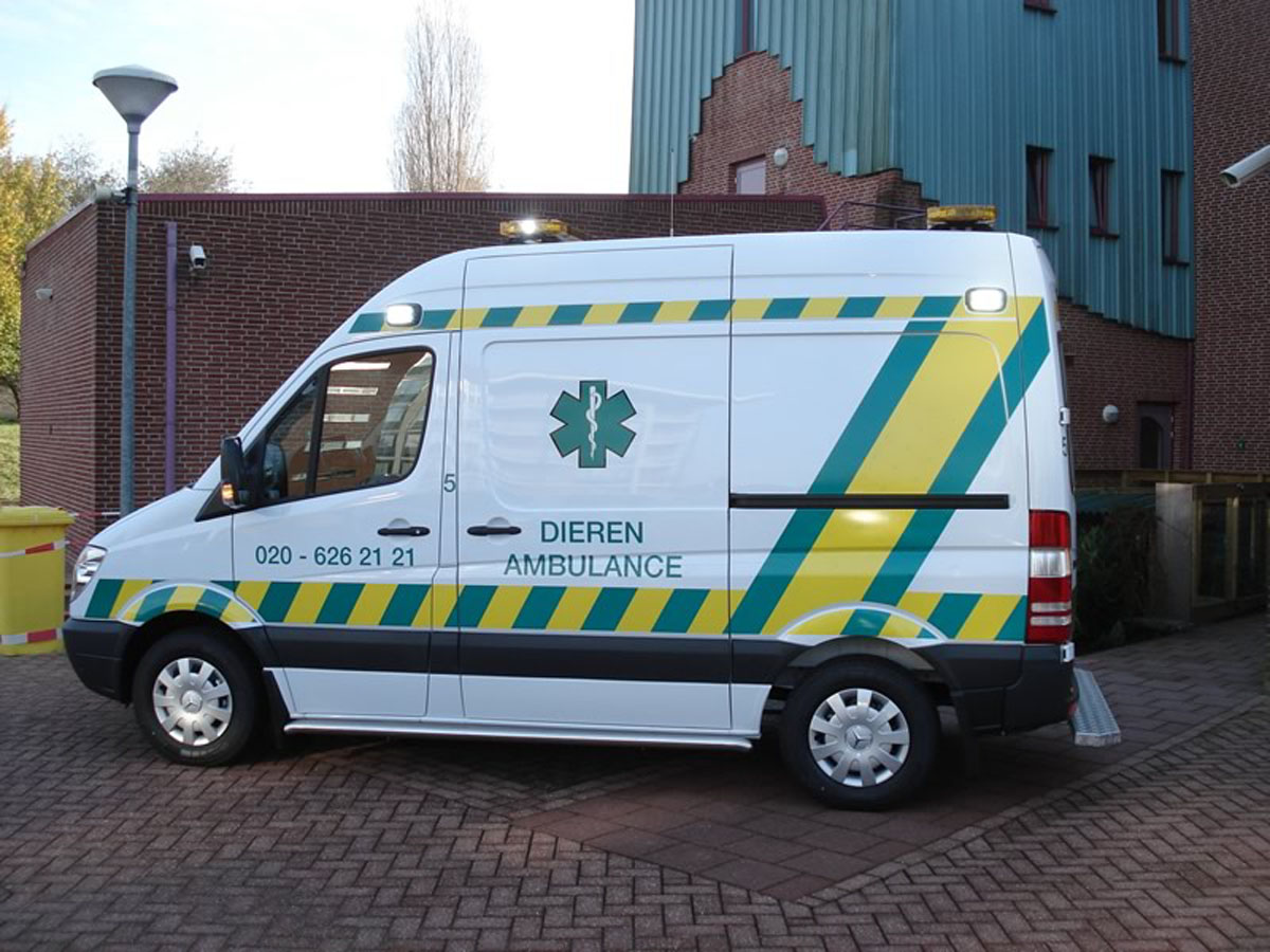 jDierenambulance 2.jpg